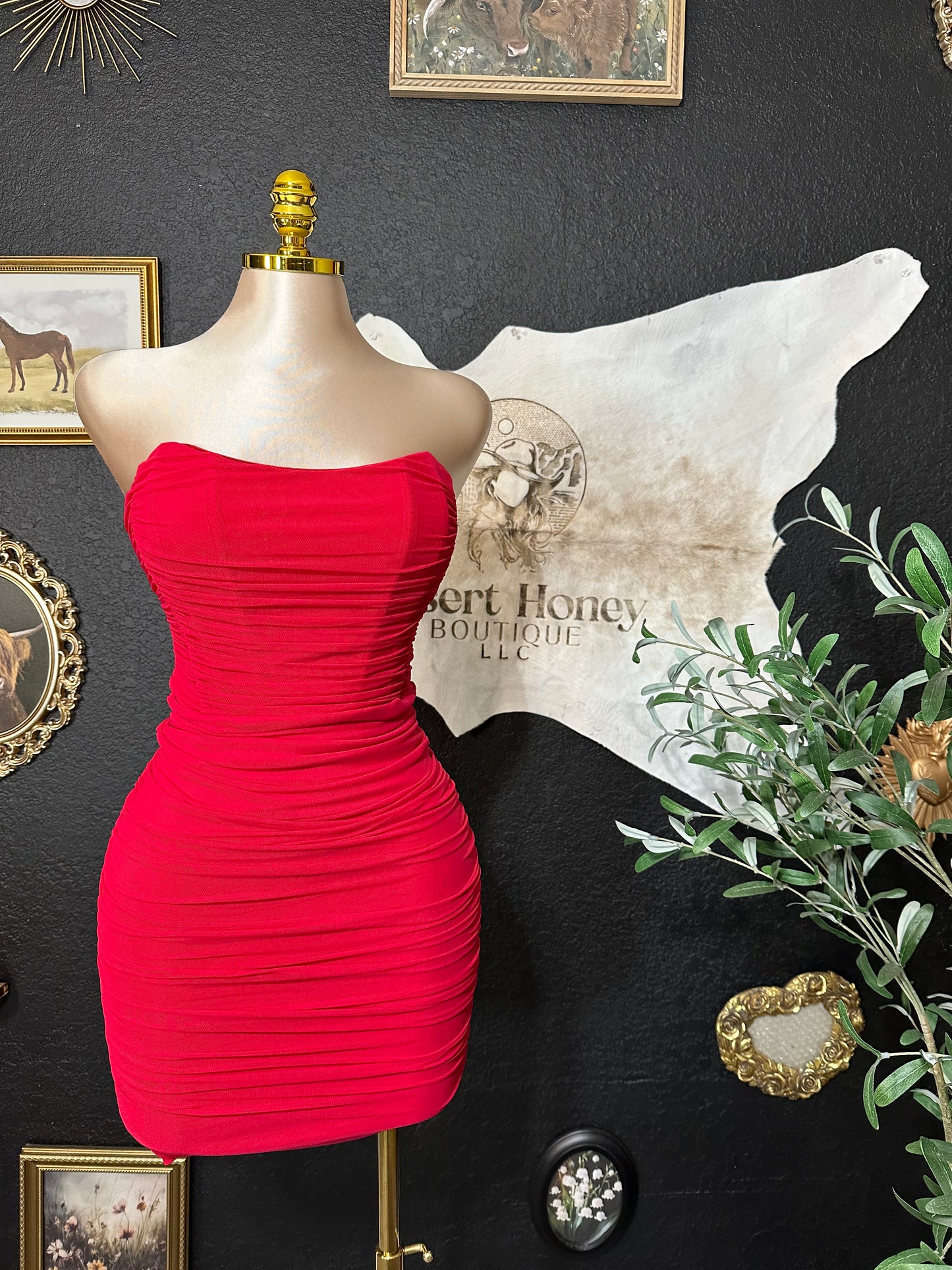 Stephany Mesh Corset Dress